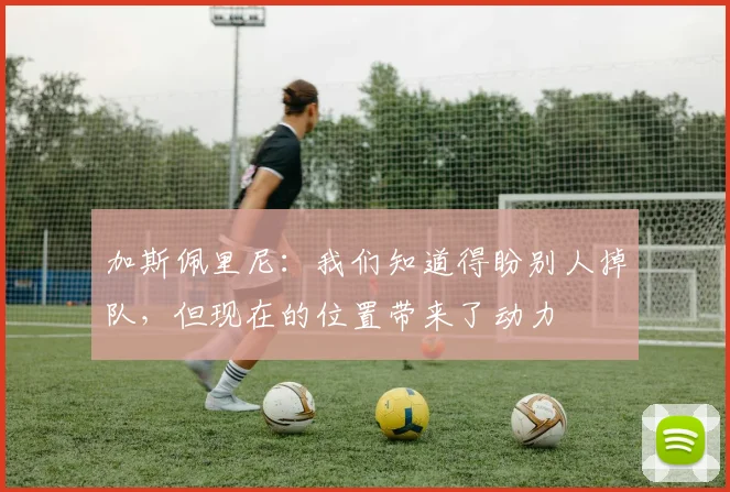 加斯佩里尼：我们知道得盼别人掉队，但现在的位置带来了动力